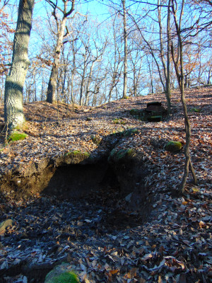 Jalsoi forrás (2).JPG