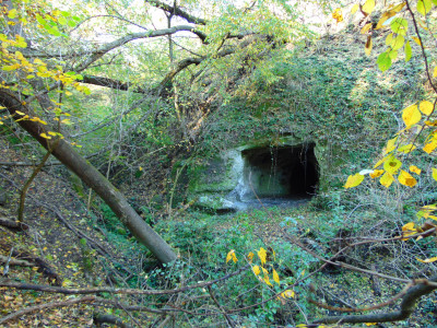 _Méhecske barlang 2 Jskyňa Méhečke.JPG