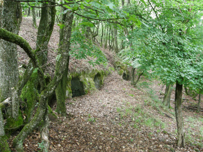 Drénai pincék , Drienovské pivnice 9.JPG