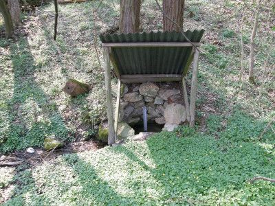 Lovoldei forrás.JPG