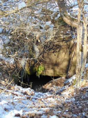 _Nyulhegy oldal-Csongorád.JPG