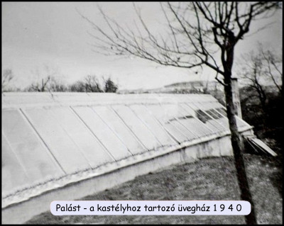 a  báró üvegháza 1940.jpg