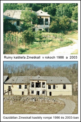 opustený Zmeškallov kaštieľ v Plášťovciach.jpg