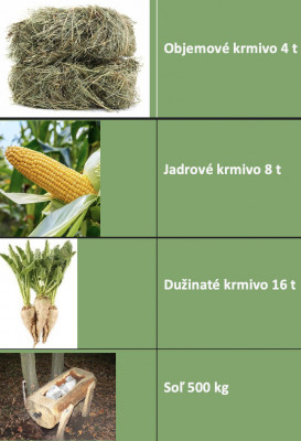 Na zimné prikrmovanie