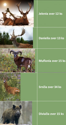 Normované kmeňové stavy zvery v revíry PD Plášťovce