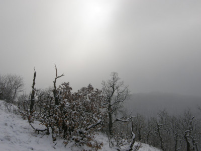 042_téli Litvaoldal.jpg