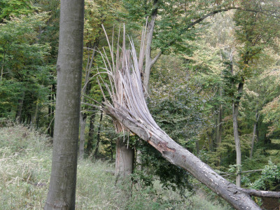 054_viharverte bükk-Krásória.jpg