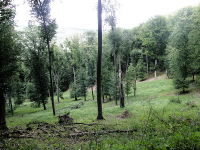 011_bükkök a Krásorián.jpg