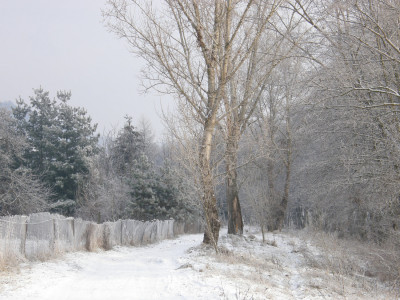 043_téli patakpart.jpg