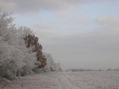 061_zúzmarás Brézó.jpg