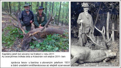 krásória 2011.jpg