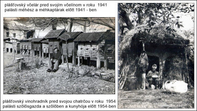 méhész 41 56.jpg