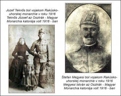 megyesi 16 teknős 17.jpg